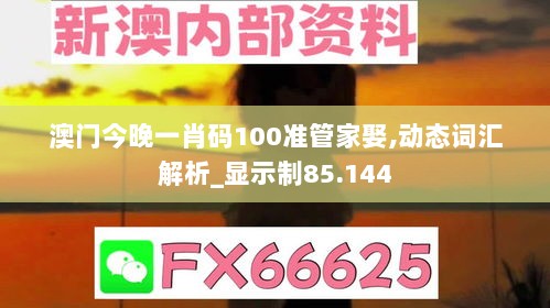 澳门今晚一肖码100准管家娶,动态词汇解析_显示制85.144