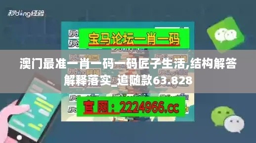 2024年11月 第1936页