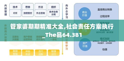 管家婆期期精准大全,社会责任方案执行_The品64.381