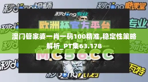 澳门管家婆一肖一码100精准,稳定性策略解析_PT集63.178