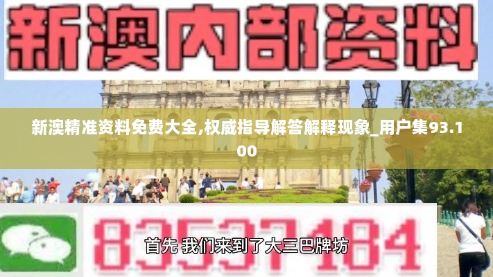 新澳精准资料免费大全,权威指导解答解释现象_用户集93.100