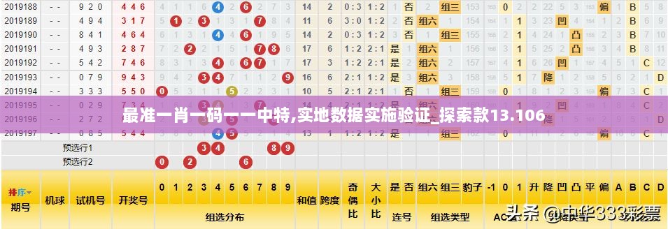 最准一肖一码一一中特,实地数据实施验证_探索款13.106