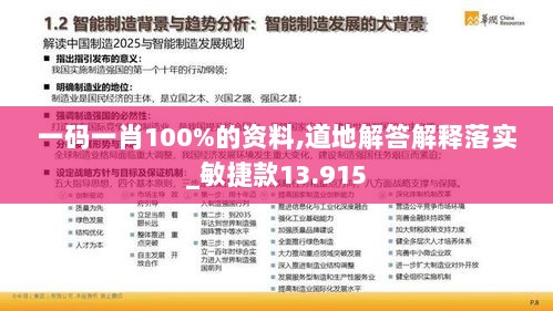 一码一肖100%的资料,道地解答解释落实_敏捷款13.915