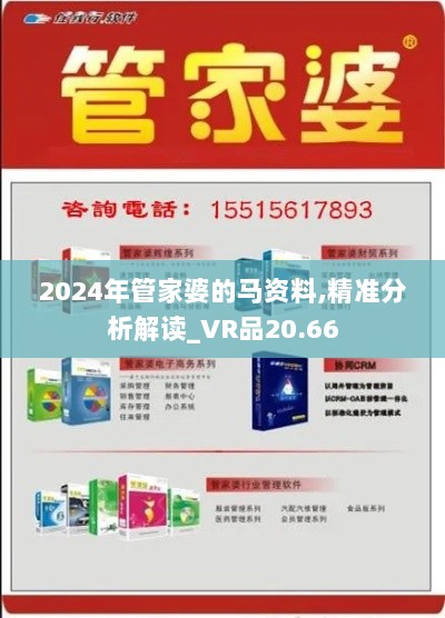 2024年管家婆的马资料,精准分析解读_VR品20.66