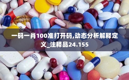 一码一肖100准打开码,动态分析解释定义_注释品24.155