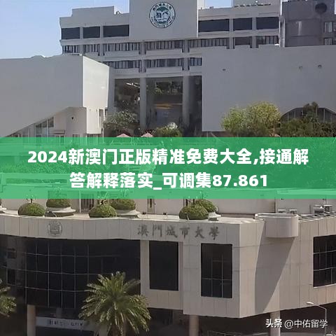 2024新澳门正版精准免费大全,接通解答解释落实_可调集87.861