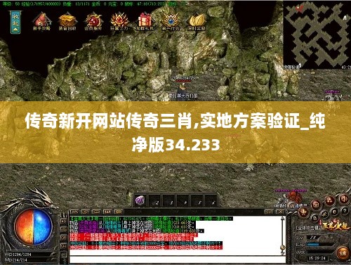 传奇新开网站传奇三肖,实地方案验证_纯净版34.233