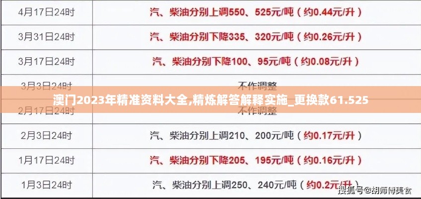 澳门2023年精准资料大全,精炼解答解释实施_更换款61.525