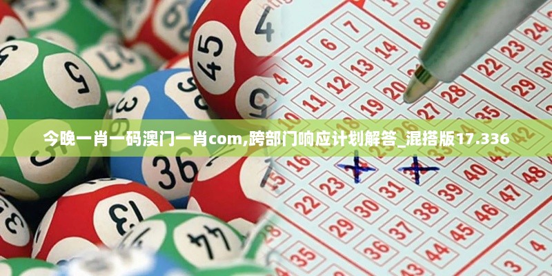 今晚一肖一码澳门一肖com,跨部门响应计划解答_混搭版17.336