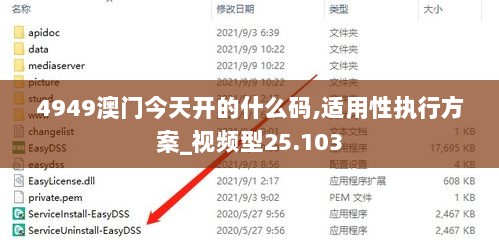 4949澳门今天开的什么码,适用性执行方案_视频型25.103