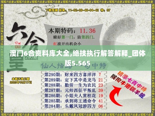 澳门6合资料库大全,绝技执行解答解释_团体版5.565