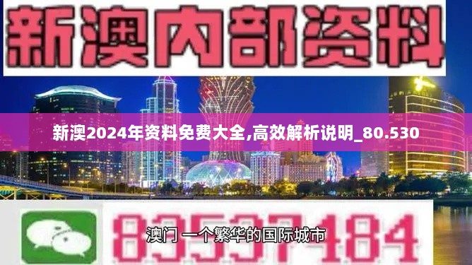 新澳2024年资料免费大全,高效解析说明_80.530