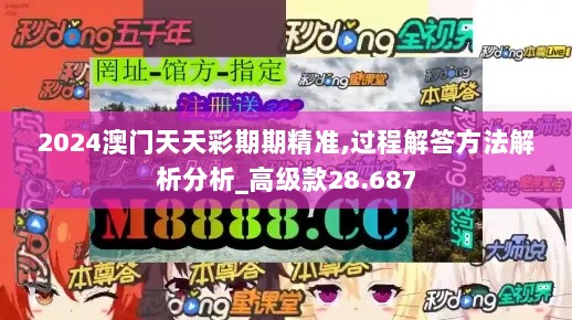 2024澳门天天彩期期精准,过程解答方法解析分析_高级款28.687