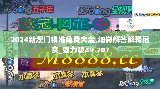 2024新澳门精准免费大全,细微解答解释落实_强力版49.207