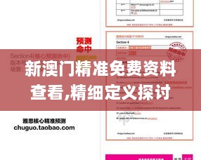 新澳门精准免费资料查看,精细定义探讨_备用版60.378