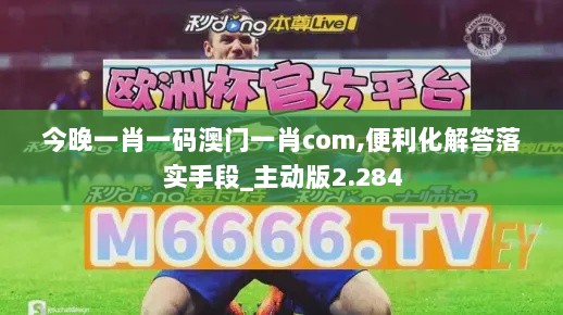 今晚一肖一码澳门一肖com,便利化解答落实手段_主动版2.284