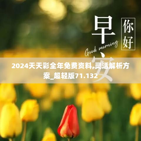 2024天天彩全年免费资料,灵活解析方案_超轻版71.132