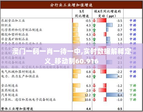 澳门一码一肖一待一中,实时数据解释定义_移动制60.916