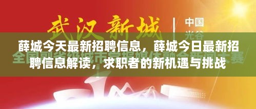 薛城今日招聘信息解读，求职者的新机遇与挑战