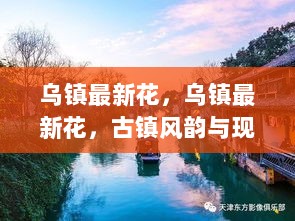 乌镇最新花，古韵今风完美融合的旅游新体验