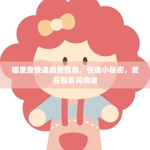 如何查找快递最新信息，快递小秘密，包裹间的爱传递