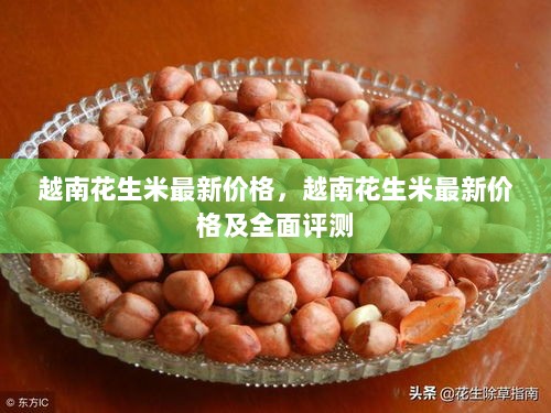 越南花生米最新价格及全面分析