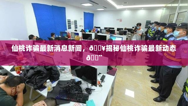 揭秘仙桃诈骗最新动态与最新消息新闻