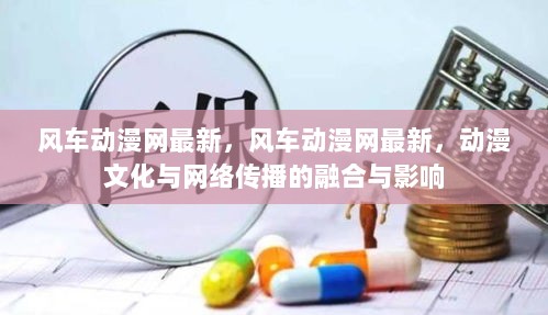 风车动漫网，动漫文化与网络传播的融合与影响