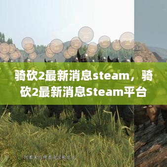 骑砍2 Steam平台最新消息解析