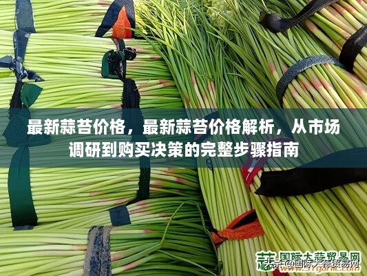 最新蒜苔价格解析与购买决策完整步骤指南