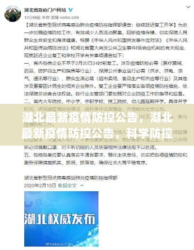 湖北疫情防控最新公告，科学防控，共筑健康防线