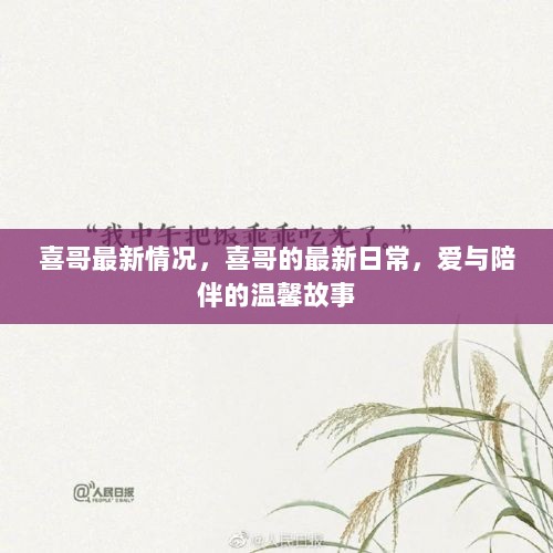 喜哥的最新日常，爱与陪伴的温馨故事