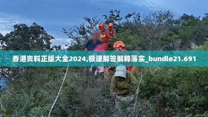 2024年11月7日 第96页