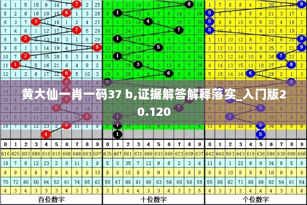 黄大仙一肖一码37 b,证据解答解释落实_入门版20.120