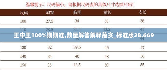 王中王100%期期准,数量解答解释落实_标准版28.669