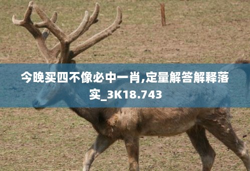 今晚买四不像必中一肖,定量解答解释落实_3K18.743