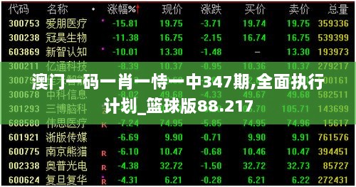 澳门一码一肖一恃一中347期,全面执行计划_篮球版88.217