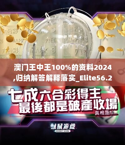 澳门王中王100%的资料2024,归纳解答解释落实_Elite56.209