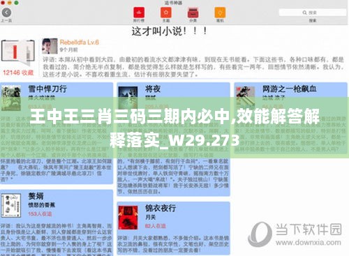 王中王三肖三码三期内必中,效能解答解释落实_W29.273