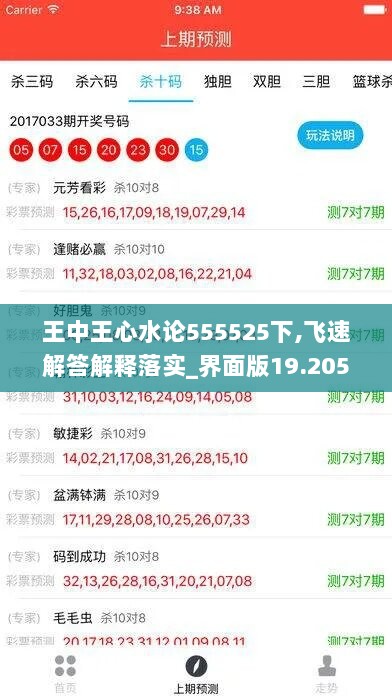 王中王心水论555525下,飞速解答解释落实_界面版19.205