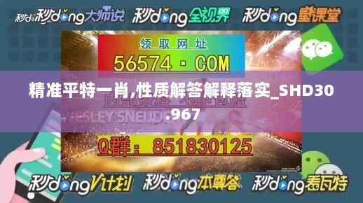 精准平特一肖,性质解答解释落实_SHD30.967