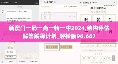 新澳门一码一肖一特一中2024,结构评估解答解释计划_轻松版96.667