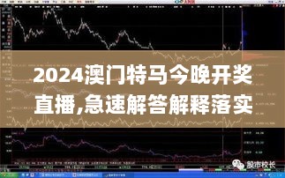 2024澳门特马今晚开奖直播,急速解答解释落实_顶级版55.827