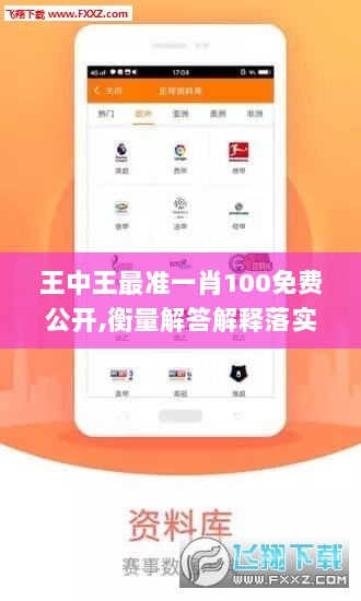 王中王最准一肖100免费公开,衡量解答解释落实_精装版20.846