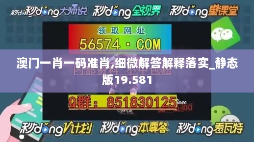 澳门一肖一码准肖,细微解答解释落实_静态版19.581