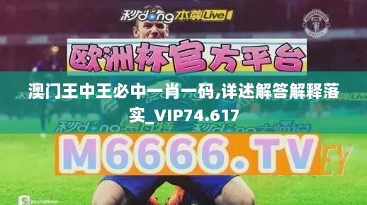 澳门王中王必中一肖一码,详述解答解释落实_VIP74.617