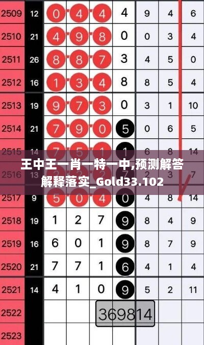 王中王一肖一特一中,预测解答解释落实_Gold33.102