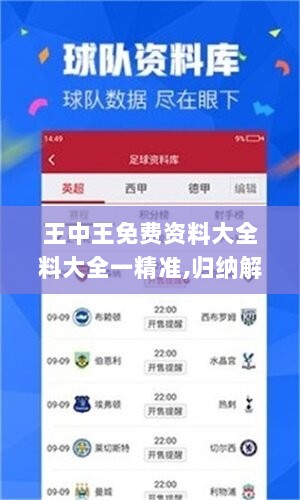 王中王免费资料大全料大全一精准,归纳解答解释落实_Tizen12.241