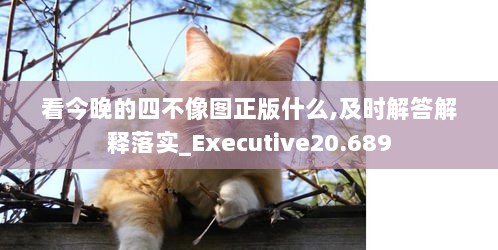 看今晚的四不像图正版什么,及时解答解释落实_Executive20.689