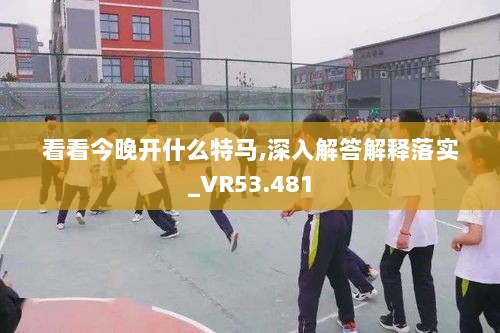 看看今晚开什么特马,深入解答解释落实_VR53.481